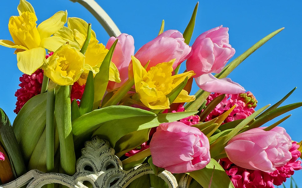 Florist Flower Delivery Pittsburgh PA Floral Arrangements By Florist Flower Delivery Pittsburgh PA Floral Arrangements By