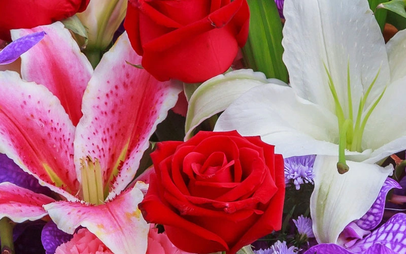 Seasonal Fresh Flowers from Blumengarten Florist