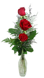 Three Rose Bud Vase -A local Pittsburgh florist for flowers in Pittsburgh. PA