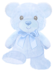 Pastel Pal Baby Bear for Boy -A local Pittsburgh florist for flowers in Pittsburgh. PA