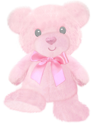 Pastel Pal Baby Bear for Girl -A local Pittsburgh florist for flowers in Pittsburgh. PA