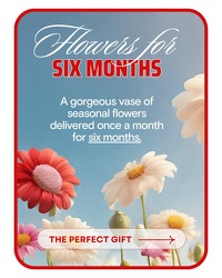 Bouquet of the Month Club (6) -A local Pittsburgh florist for flowers in Pittsburgh. PA