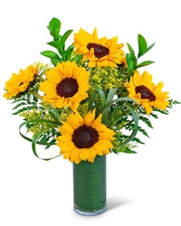 Ray of Golden Sunflowers -A local Pittsburgh florist for flowers in Pittsburgh. PA