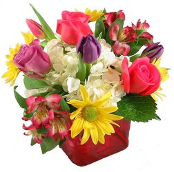 You Are My Sunshine -A local Pittsburgh florist for flowers in Pittsburgh. PA