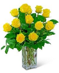 Yellow Roses (12) -A local Pittsburgh florist for flowers in Pittsburgh. PA