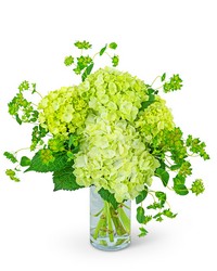 Green Glow -A local Pittsburgh florist for flowers in Pittsburgh. PA