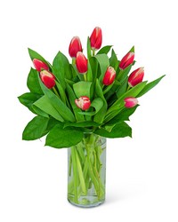 Tigress Tulips -A local Pittsburgh florist for flowers in Pittsburgh. PA
