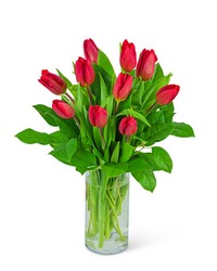 Red Tulips -A local Pittsburgh florist for flowers in Pittsburgh. PA