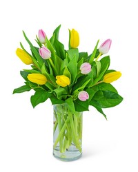 Strawberry Lemonade Tulips -A local Pittsburgh florist for flowers in Pittsburgh. PA