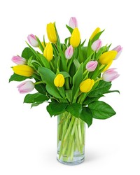 Strawberry Lemonade Deluxe Tulips -A local Pittsburgh florist for flowers in Pittsburgh. PA