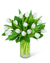 White Tulips -A local Pittsburgh florist for flowers in Pittsburgh. PA