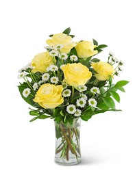 Yellow Roses with Daisies -A local Pittsburgh florist for flowers in Pittsburgh. PA
