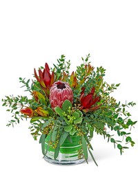 Protea Wilderness -A local Pittsburgh florist for flowers in Pittsburgh. PA