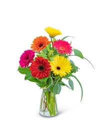 Sunny Gerbera -A local Pittsburgh florist for flowers in Pittsburgh. PA
