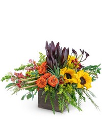 Eye of the Tiger -A local Pittsburgh florist for flowers in Pittsburgh. PA