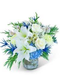 Snowy Blue Frost -A local Pittsburgh florist for flowers in Pittsburgh. PA