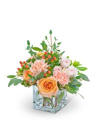 Sweet Sorbet -A local Pittsburgh florist for flowers in Pittsburgh. PA
