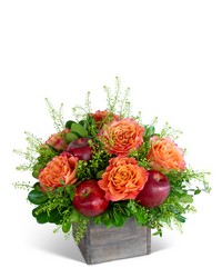 Rosy Orchard Harvest -A local Pittsburgh florist for flowers in Pittsburgh. PA
