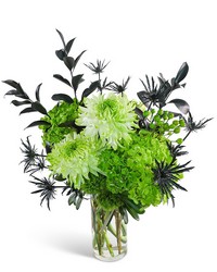 Emerald City -A local Pittsburgh florist for flowers in Pittsburgh. PA