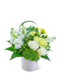 Pure Air -A local Pittsburgh florist for flowers in Pittsburgh. PA