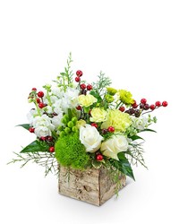 Winterberry -A local Pittsburgh florist for flowers in Pittsburgh. PA