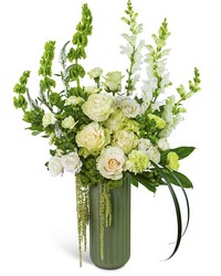 Cashmere Veil -A local Pittsburgh florist for flowers in Pittsburgh. PA