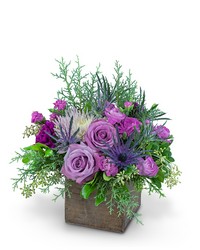 Holiday Amethyst -A local Pittsburgh florist for flowers in Pittsburgh. PA