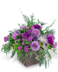 Frosted Amethyst -A local Pittsburgh florist for flowers in Pittsburgh. PA