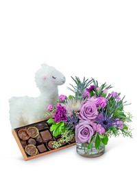 Amethyst Gift Ensemble -A local Pittsburgh florist for flowers in Pittsburgh. PA