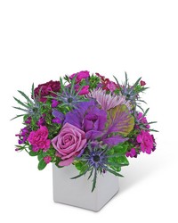 Purple Pasadena -A local Pittsburgh florist for flowers in Pittsburgh. PA