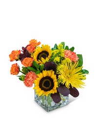 Splendid Sun -A local Pittsburgh florist for flowers in Pittsburgh. PA