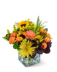Splendid Fall -A local Pittsburgh florist for flowers in Pittsburgh. PA