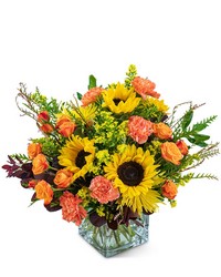 Splendid Sunflowers -A local Pittsburgh florist for flowers in Pittsburgh. PA