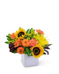 Splendid Day -A local Pittsburgh florist for flowers in Pittsburgh. PA