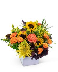 Splendid Harvest -A local Pittsburgh florist for flowers in Pittsburgh. PA