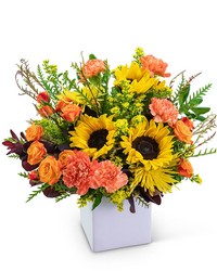 Splendid Season -A local Pittsburgh florist for flowers in Pittsburgh. PA