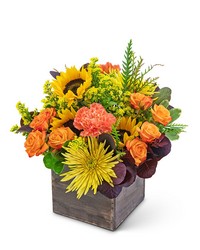 Autumn Bright -A local Pittsburgh florist for flowers in Pittsburgh. PA