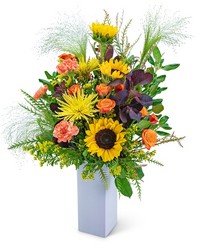 Splendid Supermoon -A local Pittsburgh florist for flowers in Pittsburgh. PA