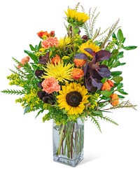 Harvest Moon -A local Pittsburgh florist for flowers in Pittsburgh. PA