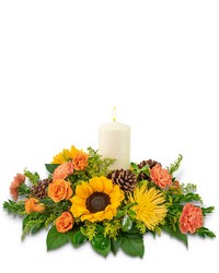 Prosperous Persimmon Centerpiece -A local Pittsburgh florist for flowers in Pittsburgh. PA