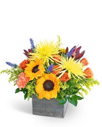 Splendid Autumn -A local Pittsburgh florist for flowers in Pittsburgh. PA
