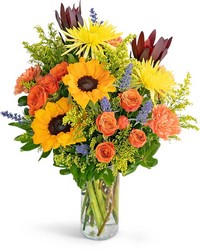 Sending You Splendor -A local Pittsburgh florist for flowers in Pittsburgh. PA