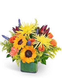 Watercolor Splendor -A local Pittsburgh florist for flowers in Pittsburgh. PA