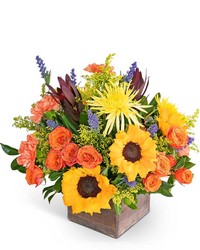 Autumn Sky -A local Pittsburgh florist for flowers in Pittsburgh. PA