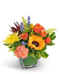 Simply Splendid -A local Pittsburgh florist for flowers in Pittsburgh. PA