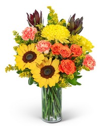 Blooming Sunbeams -A local Pittsburgh florist for flowers in Pittsburgh. PA