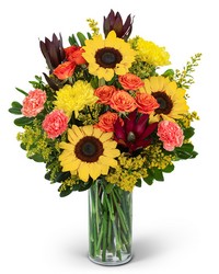 Sunbeam Splendor -A local Pittsburgh florist for flowers in Pittsburgh. PA
