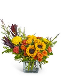 Wild Saffron -A local Pittsburgh florist for flowers in Pittsburgh. PA