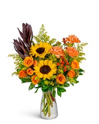 Citrine Solstice -A local Pittsburgh florist for flowers in Pittsburgh. PA Citrine Solstice -A local Pittsburgh florist for flowers in Pittsburgh. PA