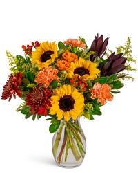 Citrine Fields -A local Pittsburgh florist for flowers in Pittsburgh. PA Citrine Fields -A local Pittsburgh florist for flowers in Pittsburgh. PA